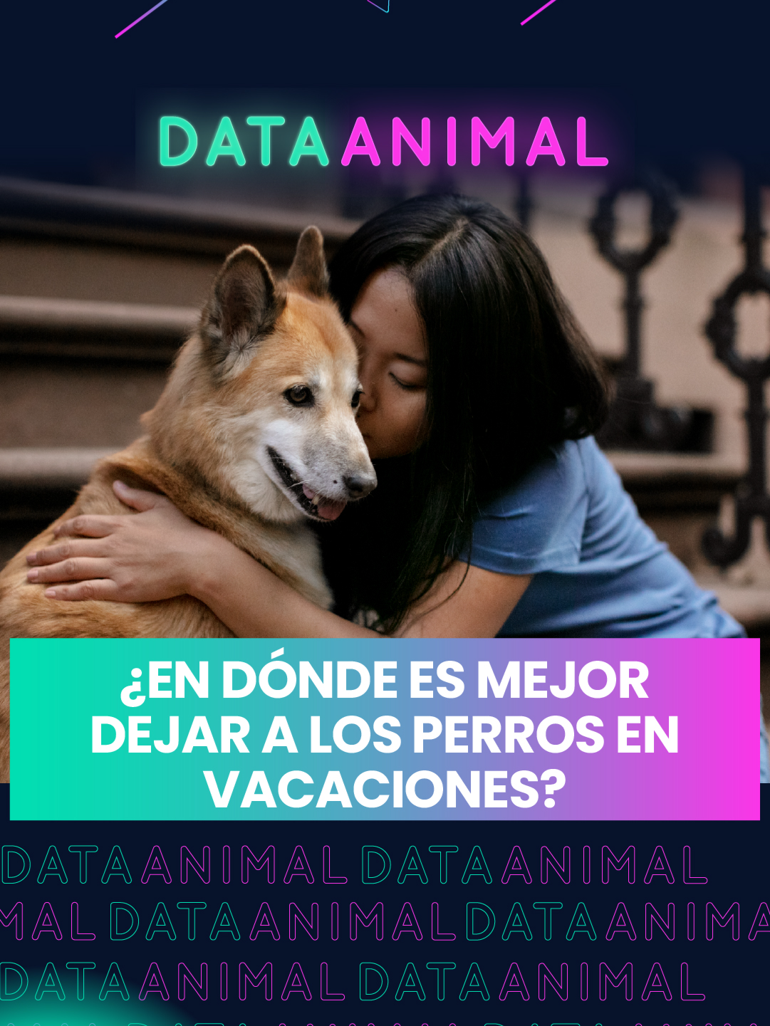 ¿EN DÓNDE ES MEJOR DEJAR A LOS PERROS EN VACACIONES? 🐕🏖 #infobae #datanaimal