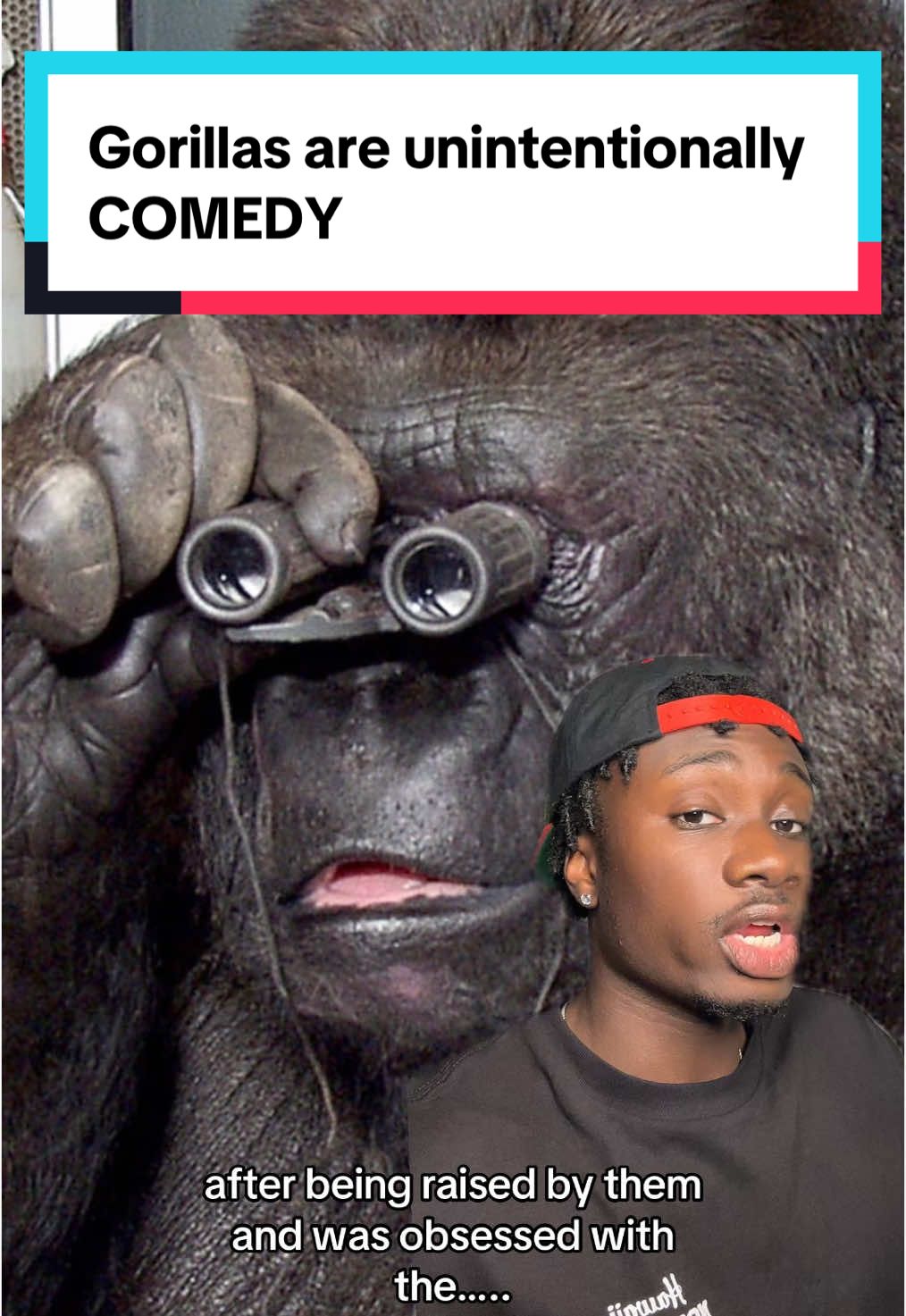 Nah who was raising her, next you’ll tell me she didnt actually know sign language….#gorilla#comedy#nature#animals