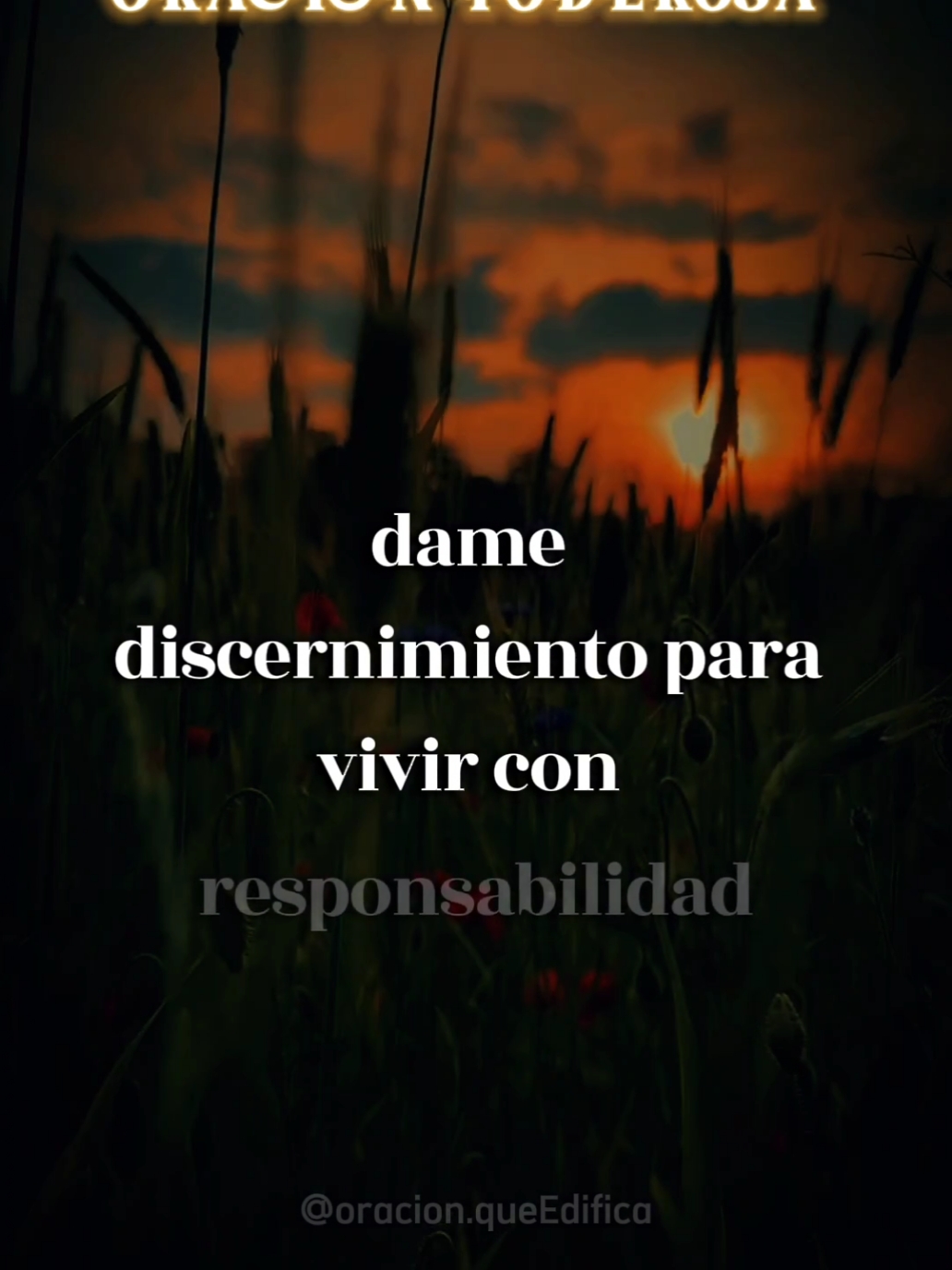 Padre, en el nombre de Jesús, vengo a pedir Tu perdón por cada error y pecado que he cometido, sea consciente o inconscientemente. #dios #protection #oracion #buenasnoches #tiktokusa #oracionespoderosas 