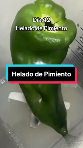 Respuesta a @Speedy Gonzales estuvo bueno 😻 #helado #fyp #viral #saboresraros #ecuador🇪🇨 #random #nitrogeno #raro #parati #humor #pimiento #globo 