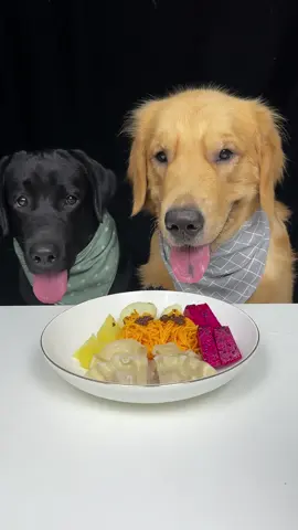 #dog #eating #asmr #Foodie #labrador #goldenretriever #kikiandbonbon