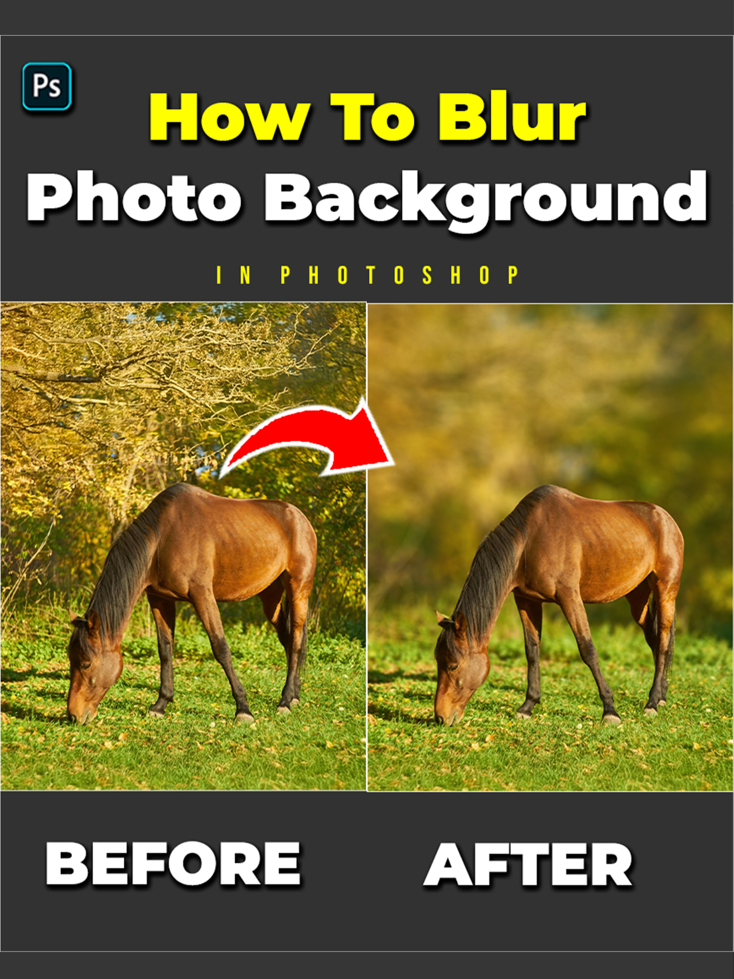 How to blur backgrounds in Adobe Photoshop #photoshoptricks#tutorial#tutorials#designer#photoshop#photography#adobe#adobephotoshop#bigsmileediting