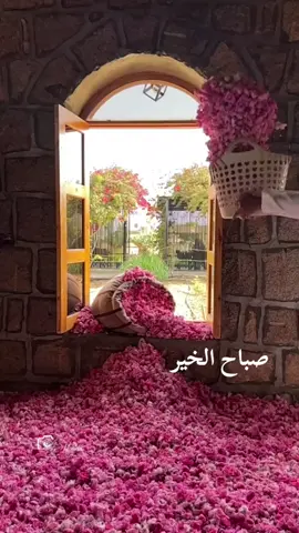 ياهلا بورد الصباح 😍 #محمد_عبده #فنان_العرب #abdu 
