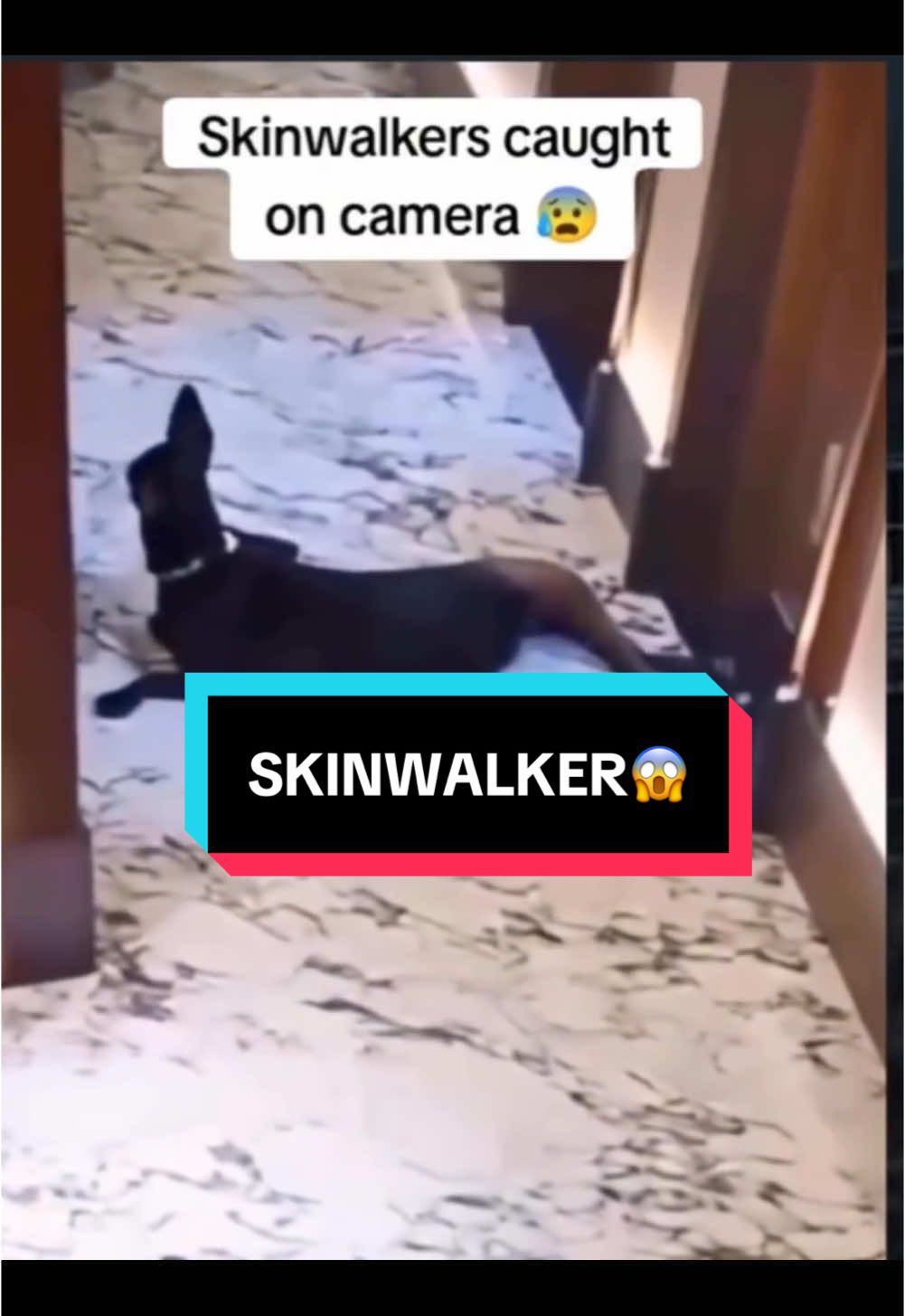 SKINWALKER CAUGHT SHAPESHIFTING ON CAMERA #SCARY #scaryvideo #skinwalker #caughtoncamera #skinwalkers 