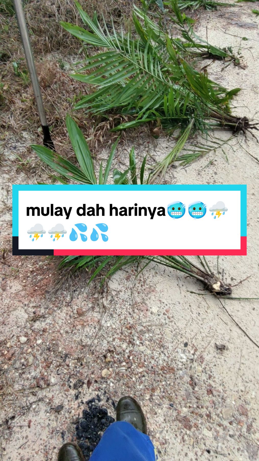 pusing kpala dpatnya. hujan tiba