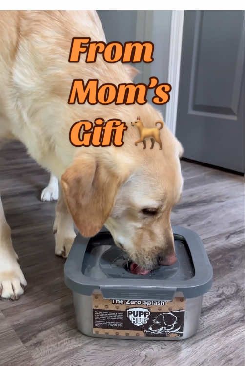 Good gift for furry friends.🐕🐕🐕 #pupphub #pupphubzerosplash #pupphubwaterbowl #waterbowl #fordogs #feeder #puppy #dog