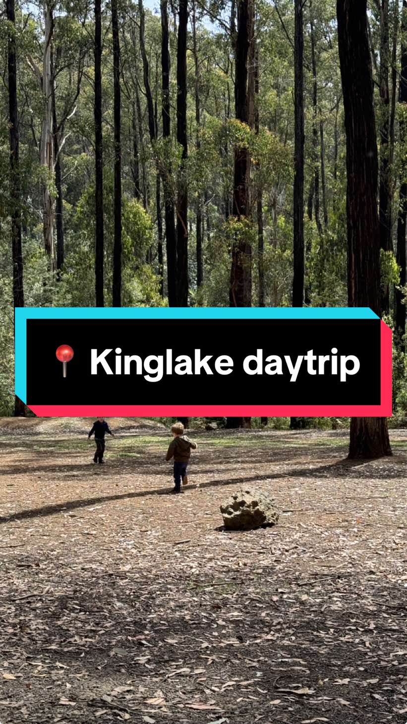 Come with us to Kinglake.  📍 Flour Flower Bakery  📍 Masons Falls 📍 Bollygum Playground Also check out Wombelano Falls, Wirrawilla Rainforest Walk, Sugarloaf Peek or make a stop for lunch in the Yarra Valley like we did ar Yarrawood Estate. #daytrip #kinglake #visitvic #waterfall #busheslking #walkingtrail #masonsfalls #melbourne #todomelbourne #exploremelbourne #melbournewithkids #explorevictoria #springinmelbourne #australianwildlife #mumsinmelbourne #melbournemums #daytripmelbourne #melbournehotspots 