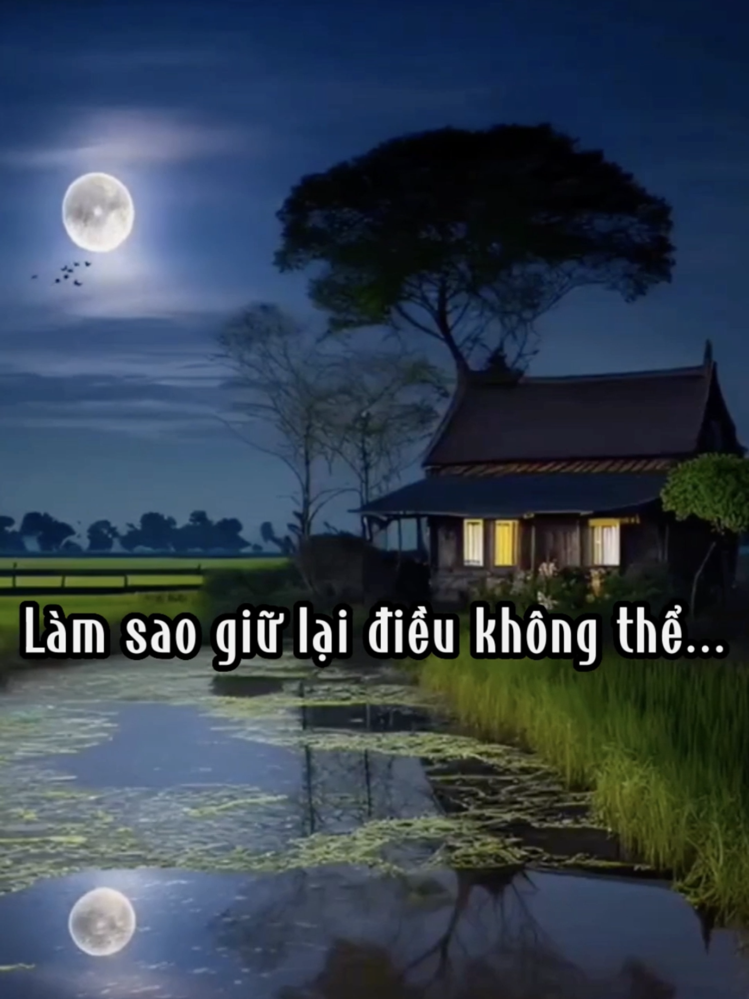 Ta trách sao người thay đổi vội chắc gì ta chẳng đổi thay đâu #thaydoi #loiphatday