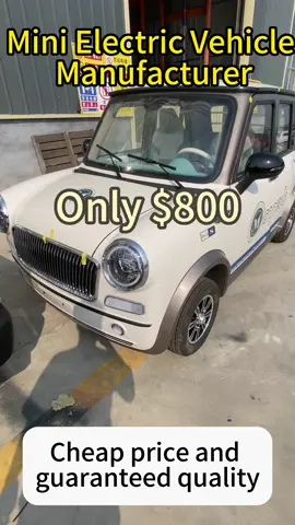 China cheap Customizable Electric Mini Car For Adults!! #electriccar #electricvehicle #cars #anto #vehicle #vehicles #automobile