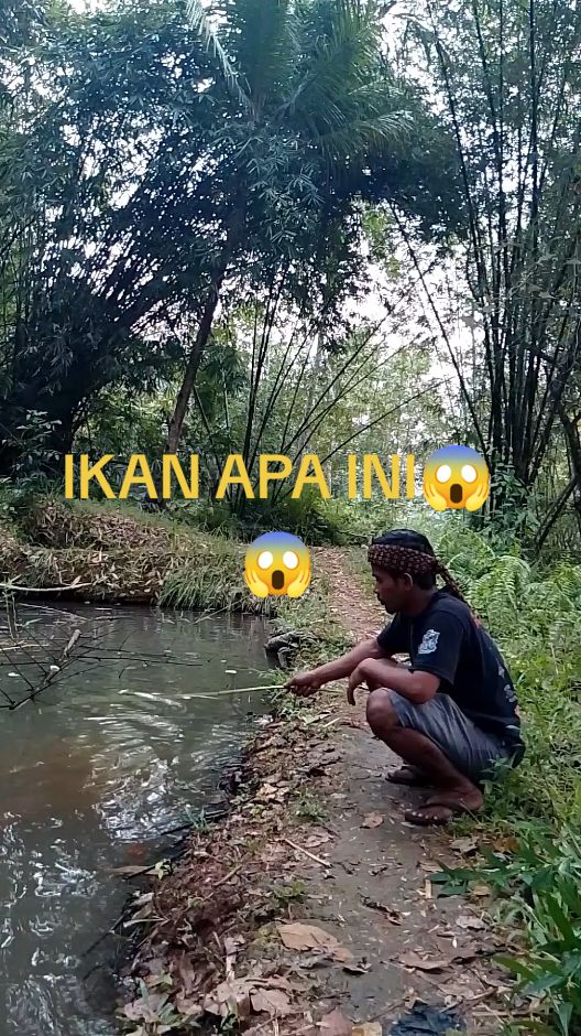 NIAT MANCING MALAH BEGINI #mancingmania #ikananeh #bikinngakak 