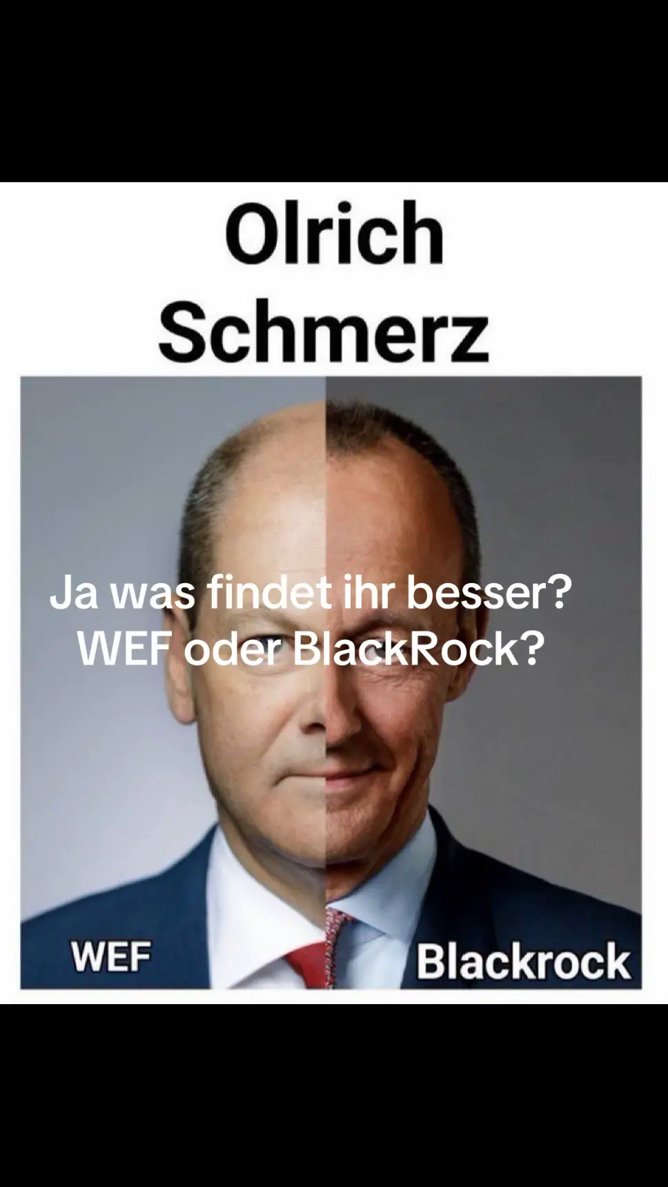 Spielt es eine Rolle ob Merz oder Scholz? Definitiv nein! 💙💙💙 #olafscholz #scholz #wef #klausschwab #merz #friedrichmerz #blackrock #marionette #allesgleich #nurdieafd #afd #keinesystemparteien 