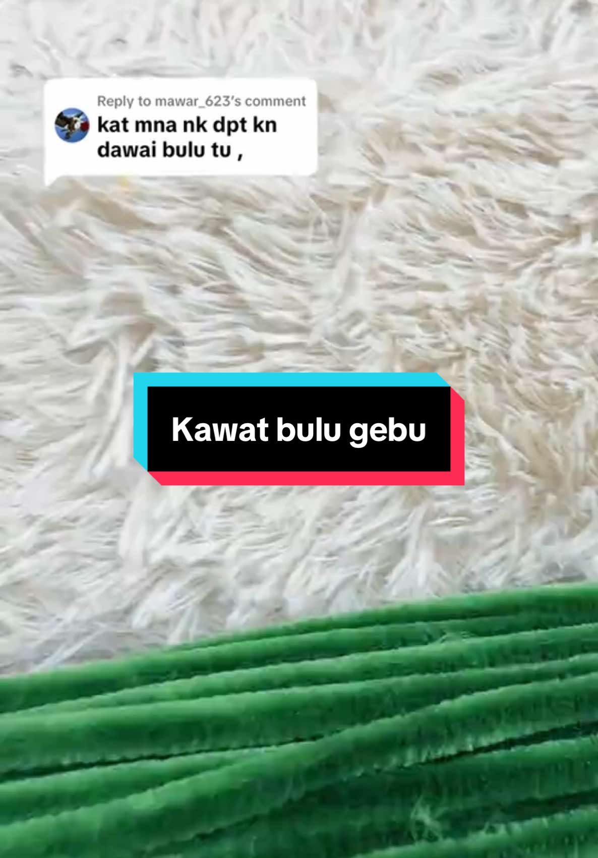 Replying to @mawar_623 beli sini bunga kawat bulu yang gebu #bungakawatbulu #bungakawatbulumalaysia 
