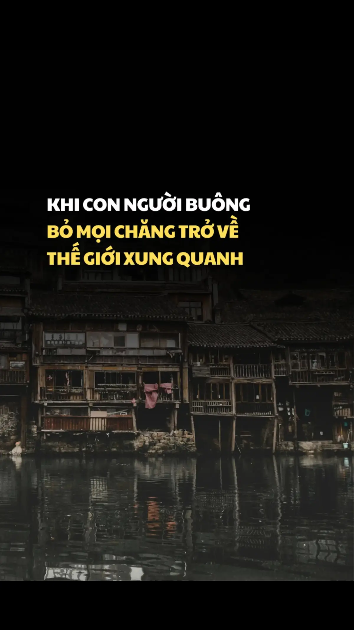 Khi con người buông bỏ mọi chăng trở về thế giới xung quanh #trietlycuocsong #baihoccuocsong #baihocthanhcong #dcgr #doahoanoro 