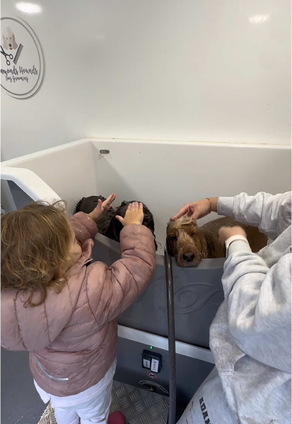 My mini me helping bath the pups after a muddy Autumn walk 🍂🐾🥹 #fyp #foryou #viral #niece #auntie #minime #bath #dogs #dogsoftiktok #saturday #morningroutine 