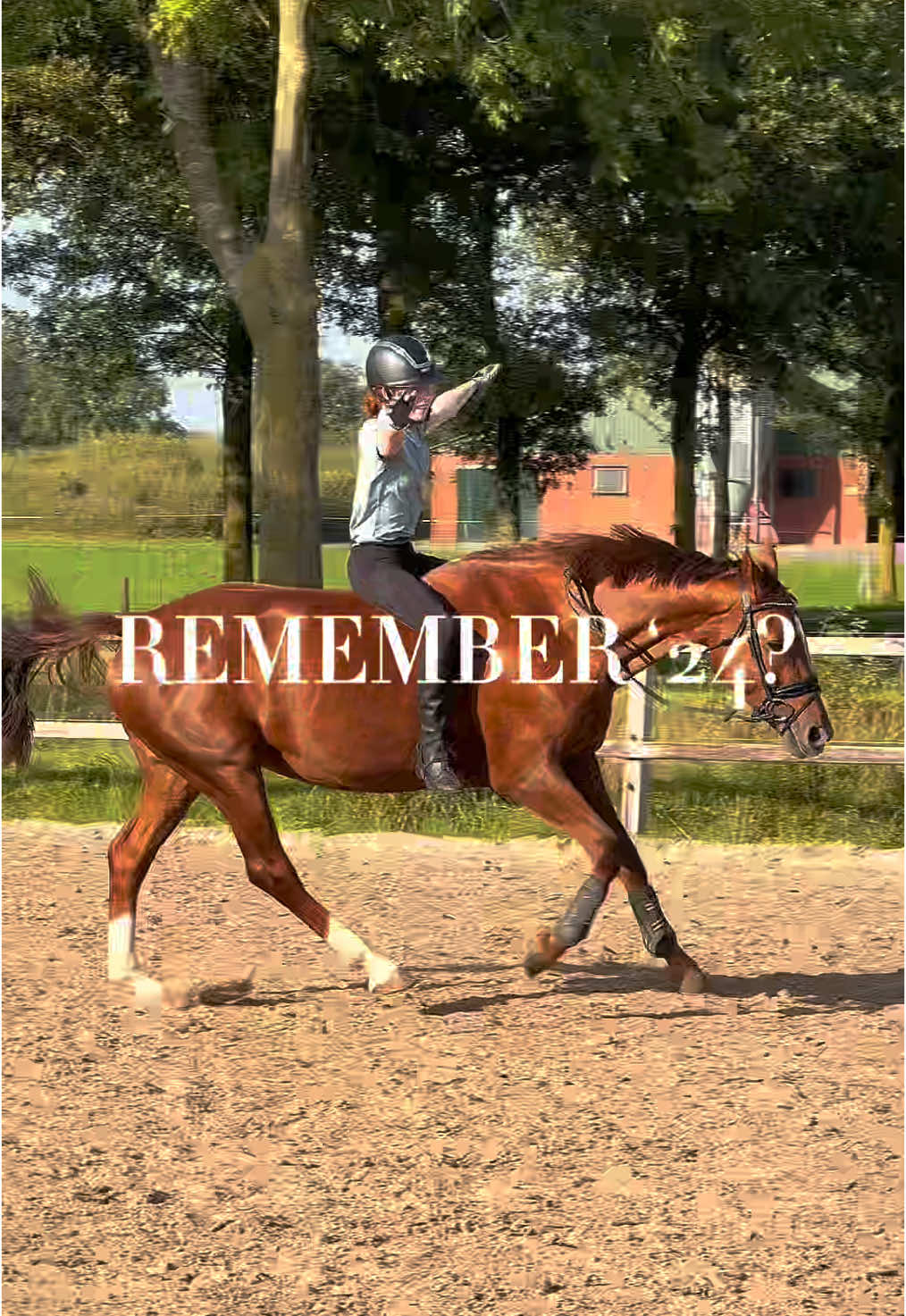 𝐑𝐞𝐦𝐞𝐦𝐛𝐞𝐫 '𝟐𝟒? | alweer een eigen template😍🫶🏻 | taggies ~ #equestrain   #horse #horses #elfee #horseriding #horseriding🔛🔝 #😍  #elfeeandsophie #elfee_and_sophie#fyp   #owntemplate #capcut #template #remember24? 