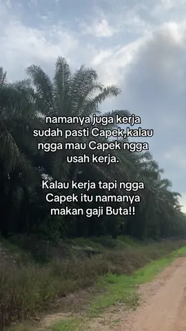 Jangan lupa di CO celana nya ygy😊#sawitkalimantan🌴🌴🇮🇩 #fyppppppppppppppppppppppp #krani #kejutanlivefest 