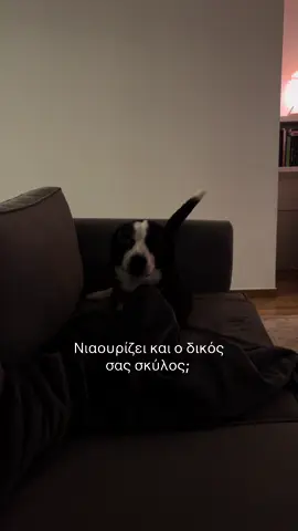#foryou #fyp #f #foryourepage #for #fo #for #dog #dogsoftiktok 