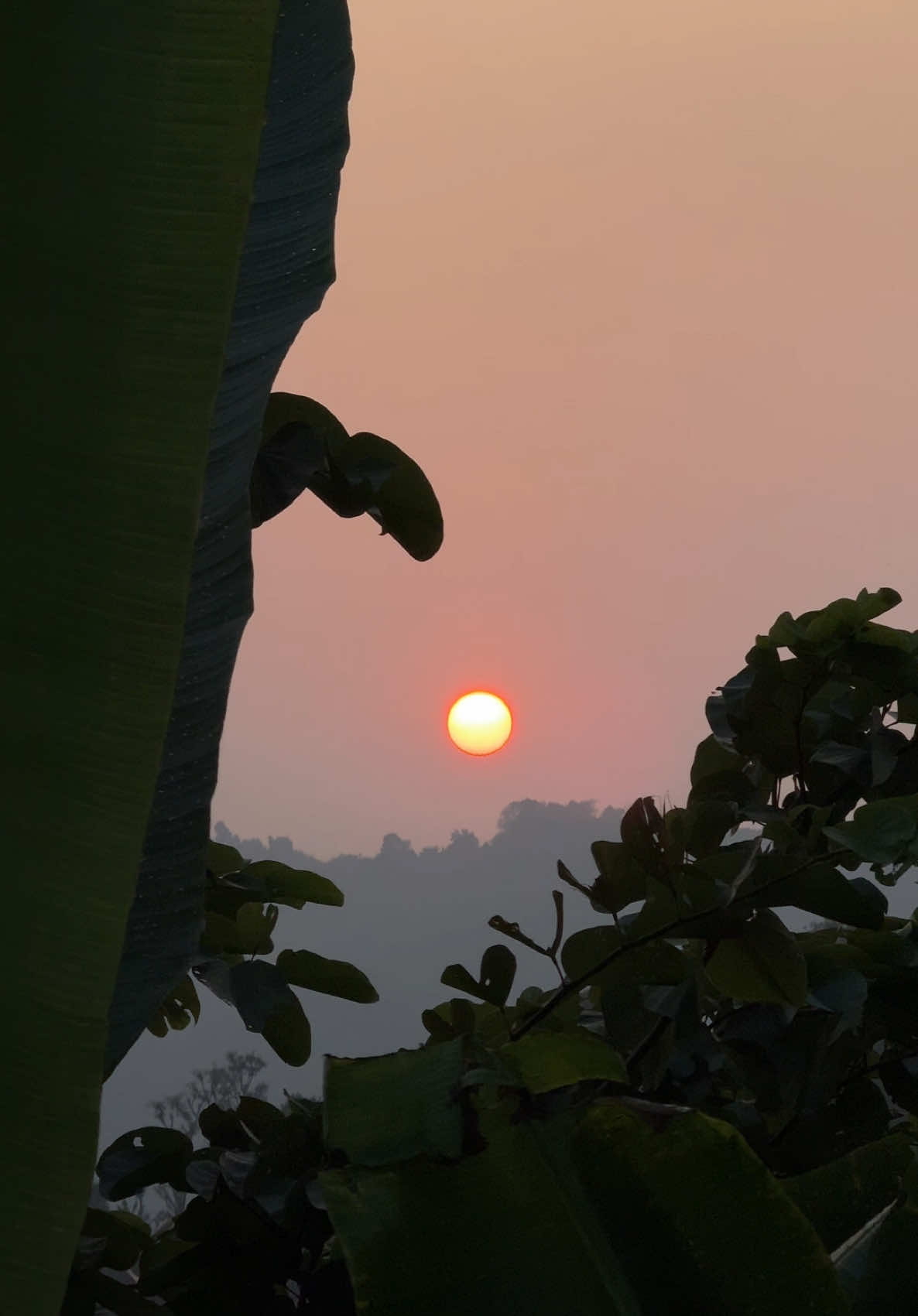 Sajha parepachi ni lai lai 🥹💚