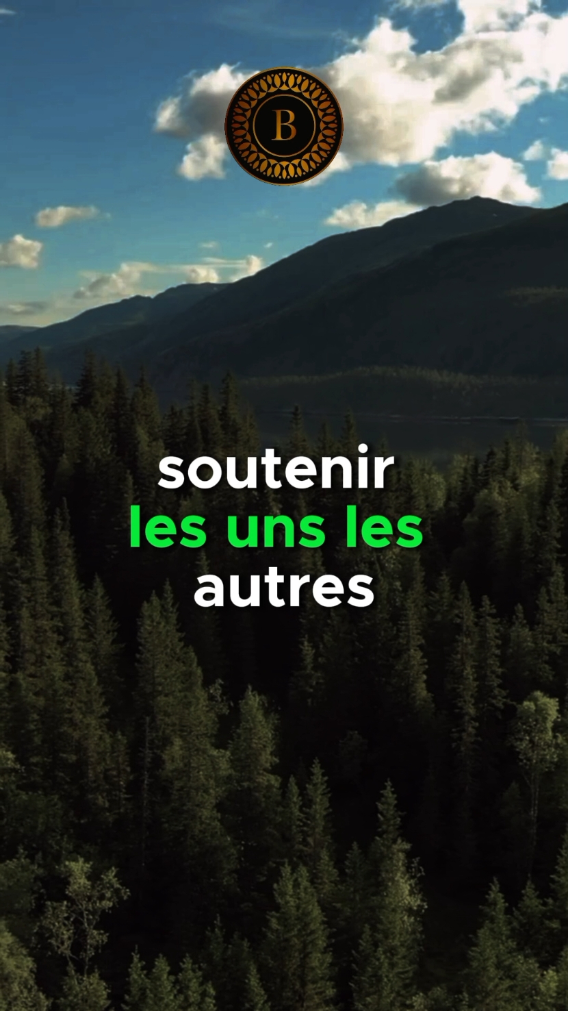 Il n'y a pas de raccourcis vers la réussite  #Consiel #citation #motivation #education #video 