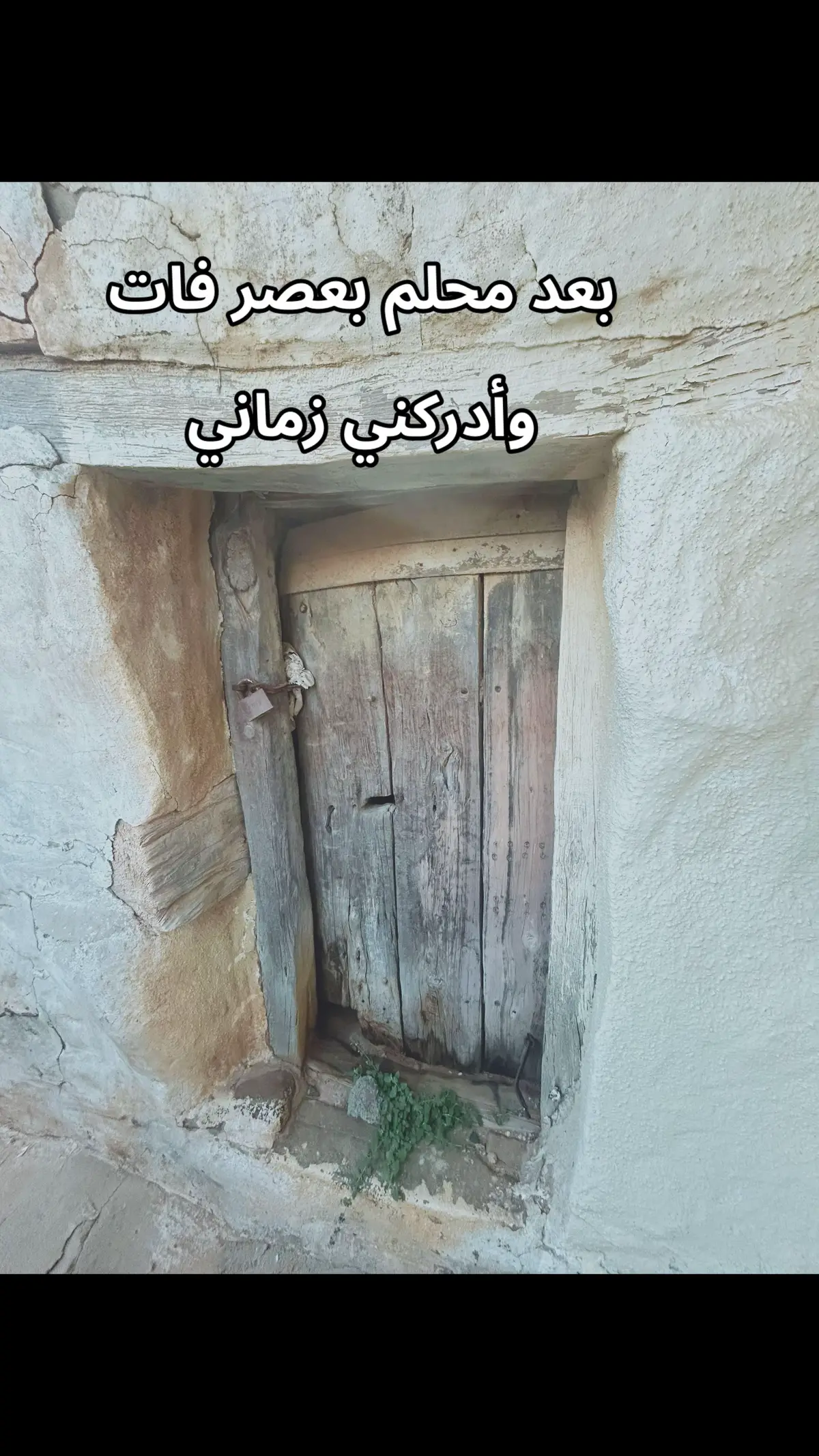 بللسمر#تنومه_الجنوب_عسير_بني_شهر 