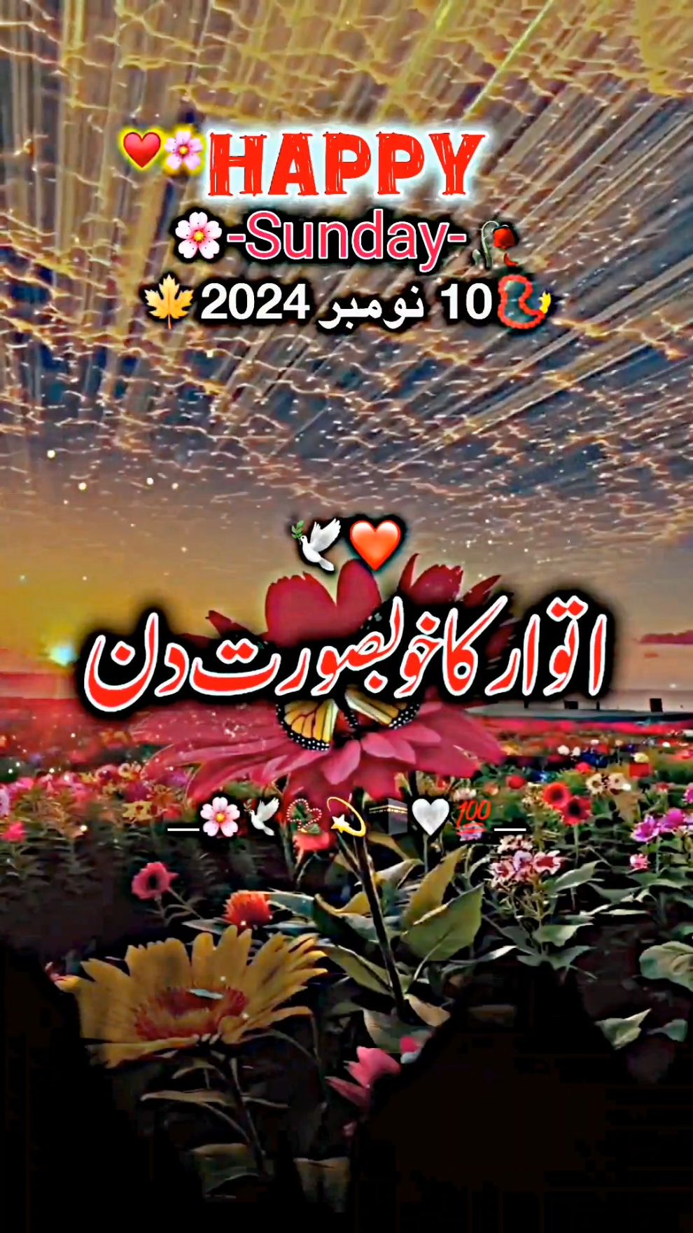 اتوار کا دن مبارک ہو ❤️🥰🥀#me #viewsproblem #illu #viral #viralvideo #fyp #foryou #foryoupage #foryoupageofficiall #lovepoetry #urdupoetry #sadpoetry #status #whatsappstatus #lovepoetry #growaccount 