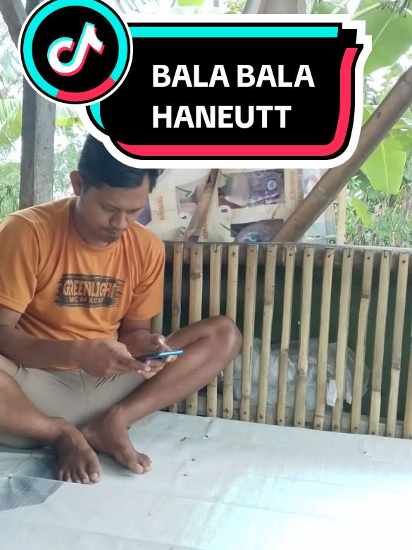 bala bala haneutt #sketbor 