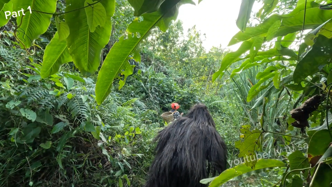 Cô gái đi hái rau rừng và một con vật kì lạ xuất hiện.. #kingkong  #ngườirừng  #lytusa  #vàorừng  #quáivậtrừng 