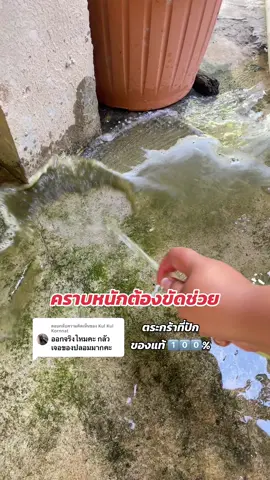 ตอบกลับ @Kul Kul  Kornnat #ป้ายยา #logeski #น้ํายาล้างห้องน้ําlogeski #น้ํายาทําความสะอาด #น้ํายาล้างโถส้วม #น้ํายาlogeski 