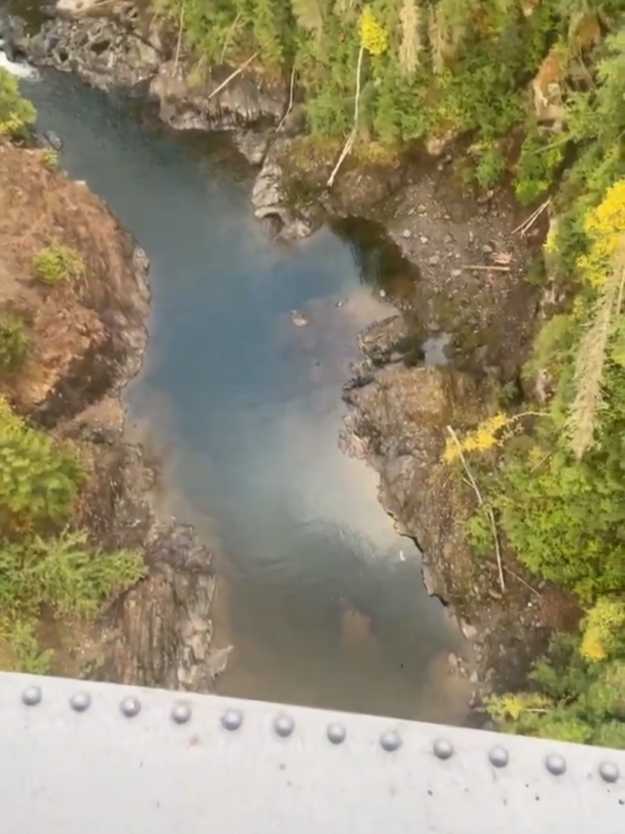 Throwing stuff off of a high train bridge #satisfyingvideo