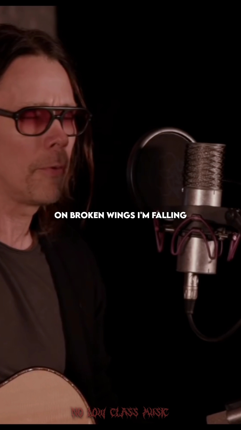 I've got to find that meaning #alterbridge #brokenwings 