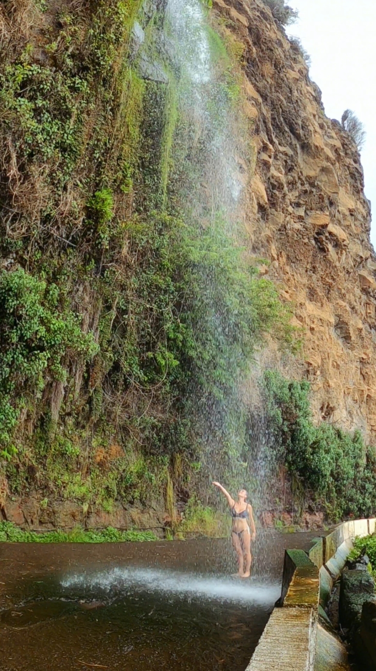 Madeira è surreale 🐚 