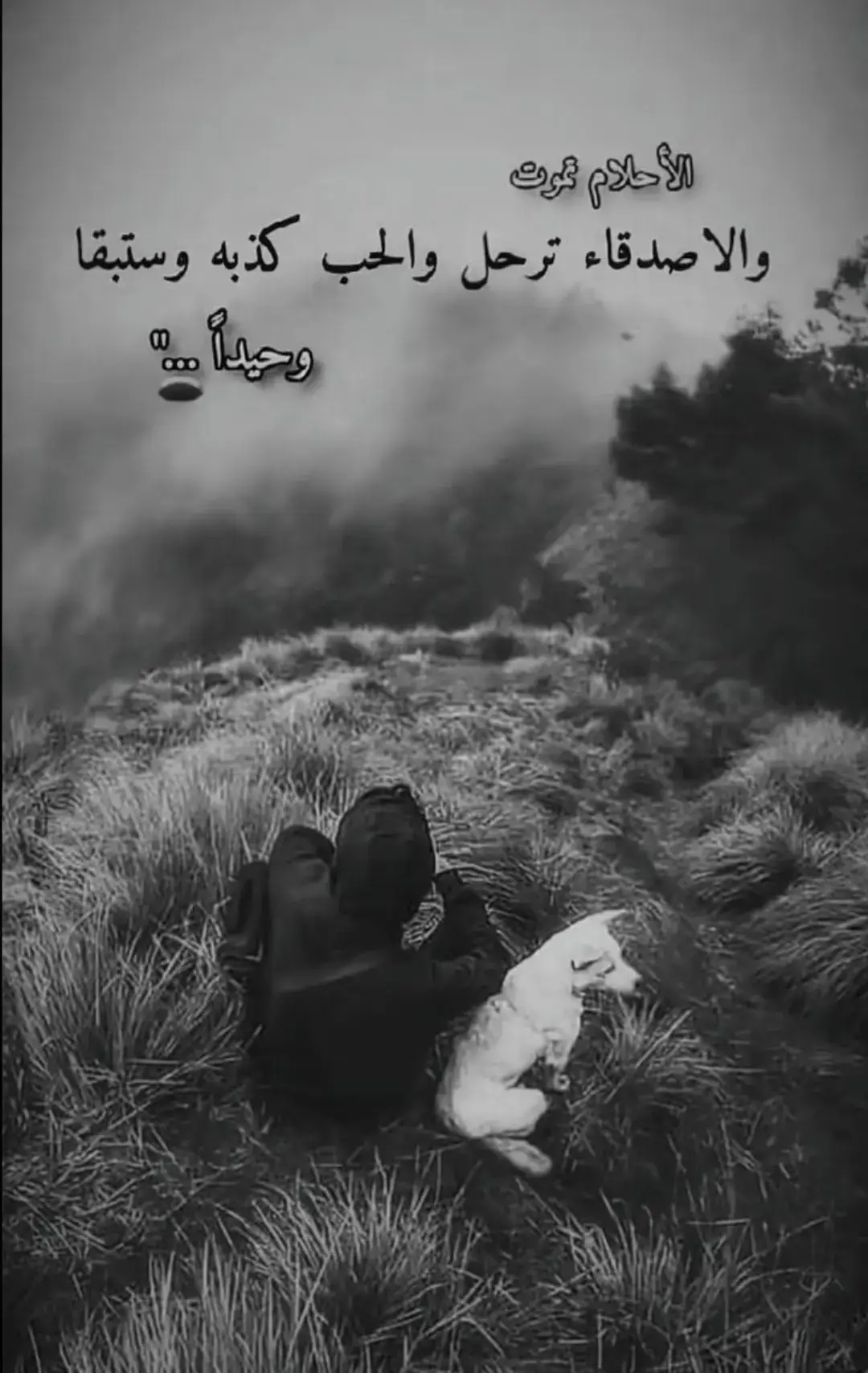 #حزيــــــــــــــــن💔🖤 #اكسبلورexplore❥🕊  #مجرد________ذووووووق🎶🎵💞 