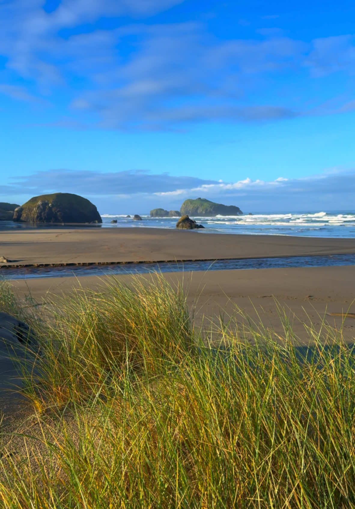 A beautiful day along the Oregon coast, where the ocean breeze and stunning landscapes create a perfect blend of peace and wonder 😍 #nature #Outdoors #cinematic #calm #ocean 