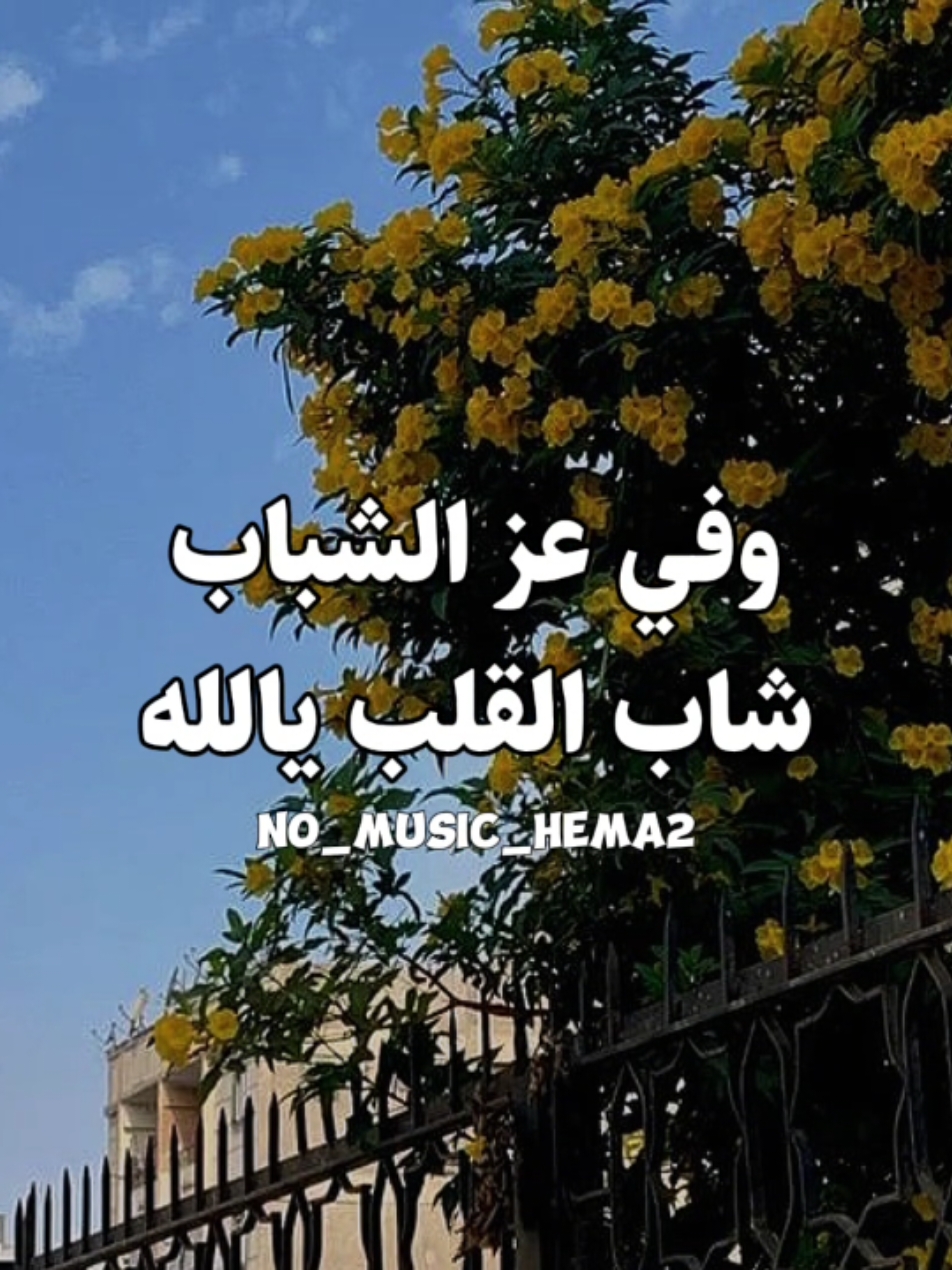 حساب للمستمعين بدون ذنوب 🤎. #اغاني_بدون_موسيقى #الرتش_فى_زمه_الله #ترند #no_music_hema2 