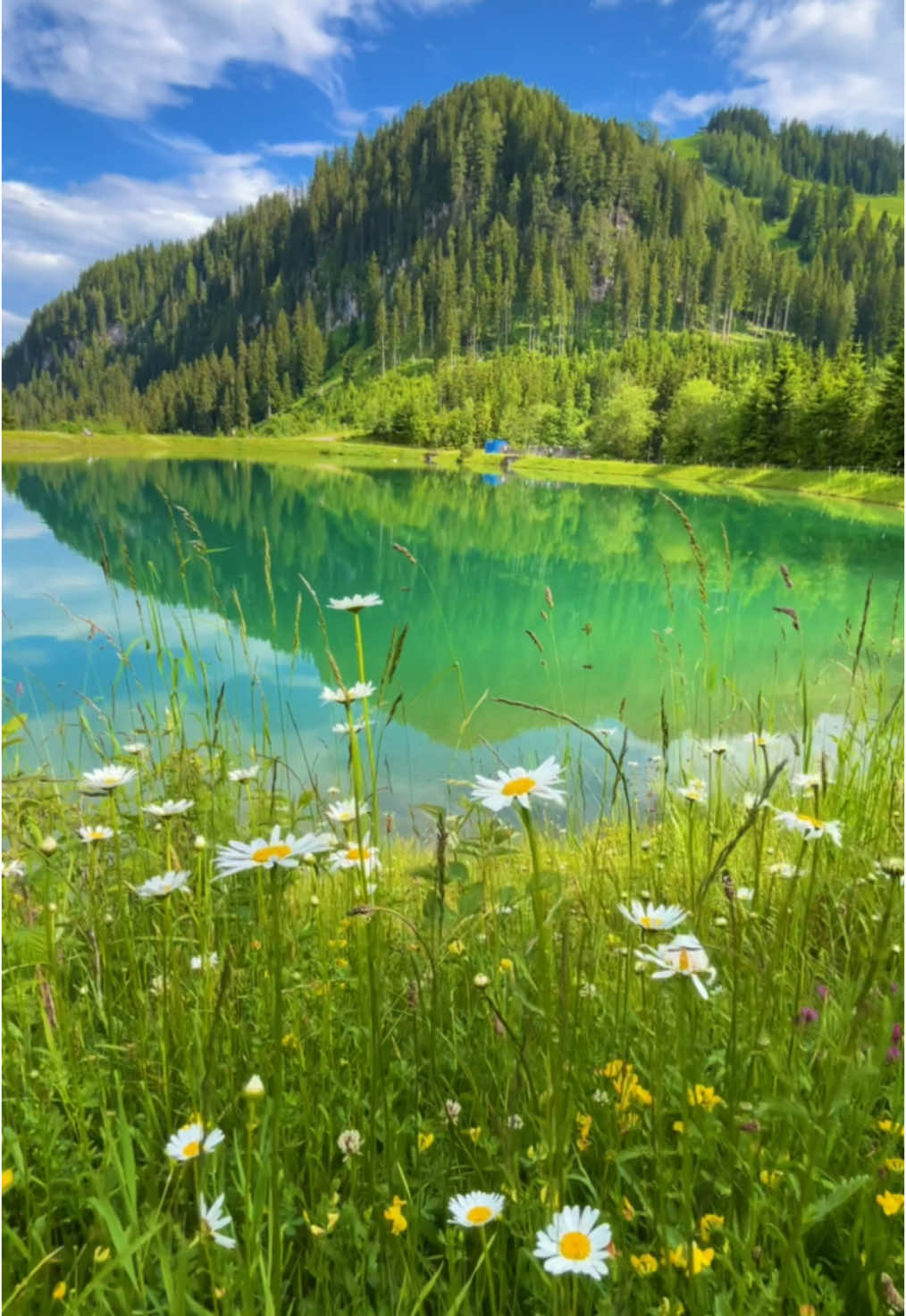 Beautiful secret lake #🇦🇹 #austria #nature #mountains #nature #tirol 