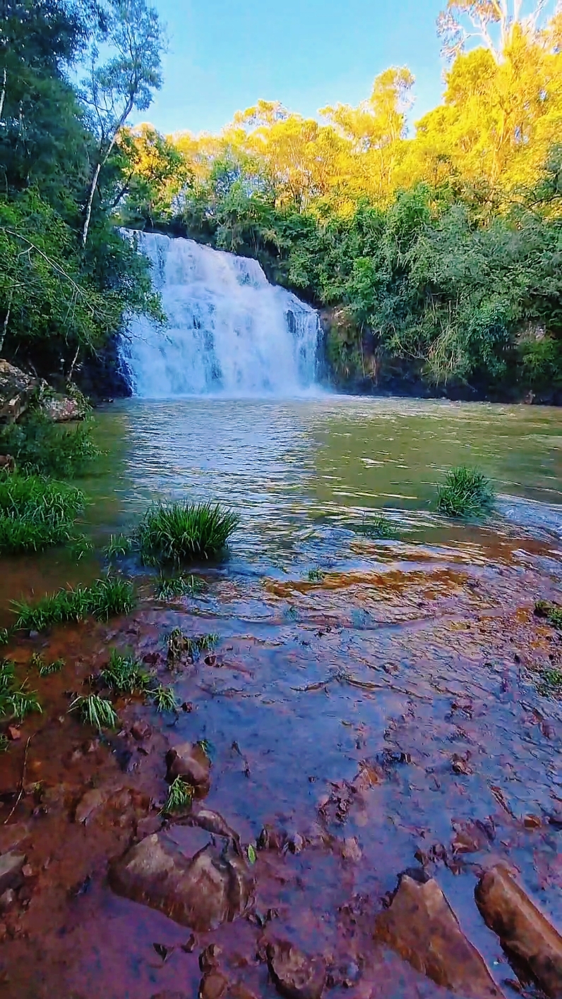 Prepará el tere que nos vamos... Salto Fracrán ❤️ 🫶  Misiones la hermosa #cascadas #saltos #dron #familiafeliz #amor 