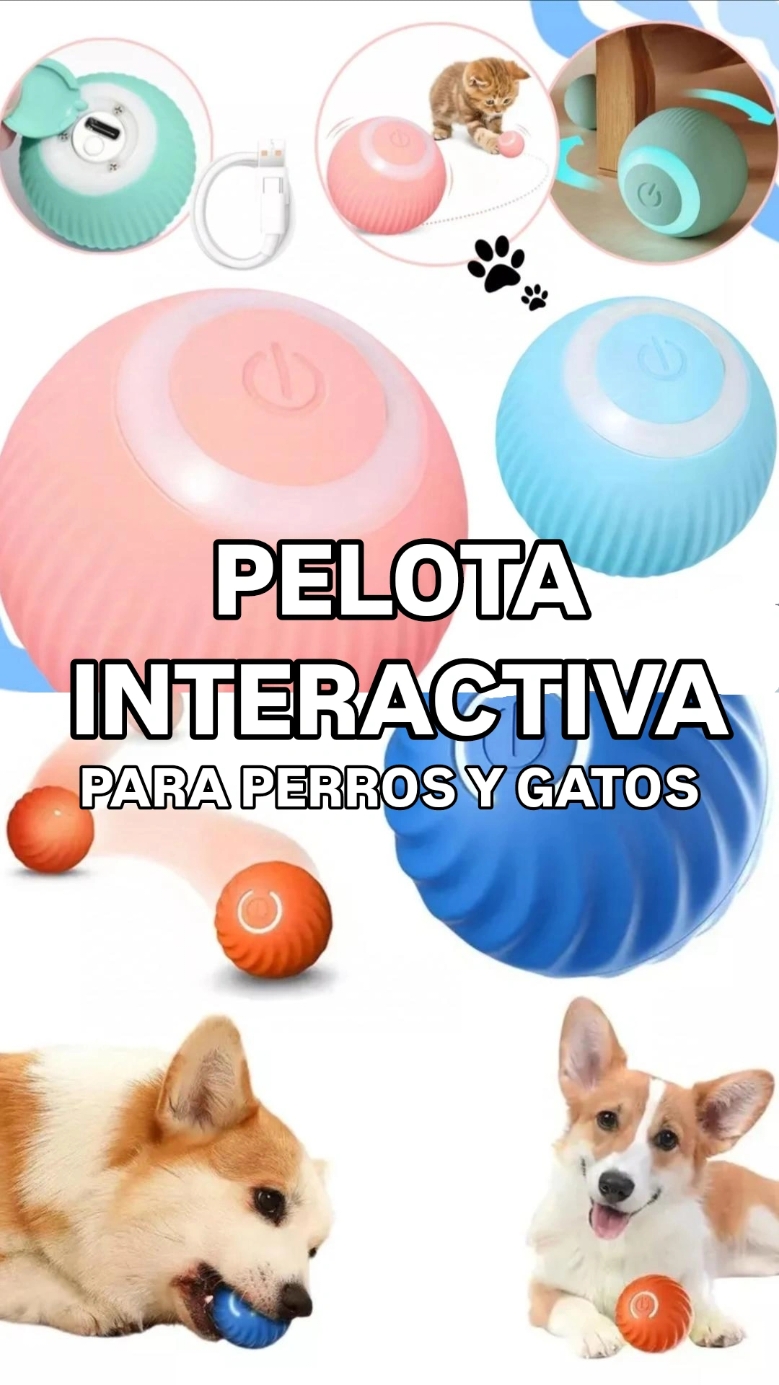 𝗣𝗘𝗟𝗢𝗧𝗔 𝗜𝗡𝗧𝗘𝗥𝗔𝗖𝗧𝗜𝗩𝗔 ⚽ para perros y gatos. Se carga con USB, es didáctica y sobre todo original.  Permite que tu bebé se mantenga en movimiento y atento a los movimientos, cambios de direcciones y ritmo de luces que hace la pelota mientras está encedida. 🌎 Calle 14 n° 5021 - Berazategui Centro 🔓Lunes a Sábados de 9.30 a 20.00      No cerramos al mediodía 