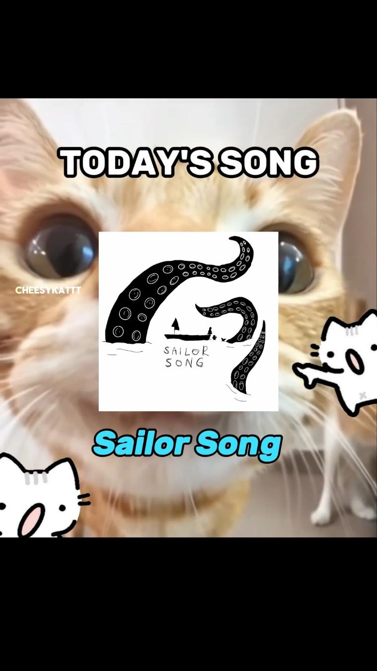 Cats love sailor song 🗣 . #fyp #cats #catsoftiktok #catlovers #kitten 