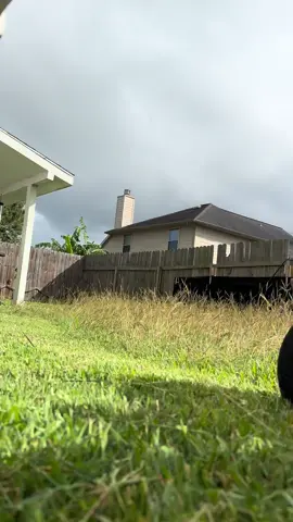 Satisfying with a beautiful sky#CapCut #satisfyingvideo #yardwork #yarderosperrones #yarderos #landscaping #landscaper #jardinero #yard 