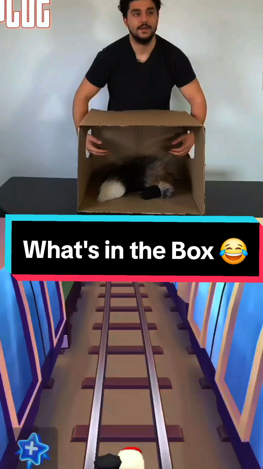 The Basement Yard Boys play a game called guess what's in the box. 😂 Follow for daily podcast and comedy content from your favorite people 😁 #funnytiktok #comedypodcast #basementyard #viralvideo #clips #subwaysurfers #CapCut 