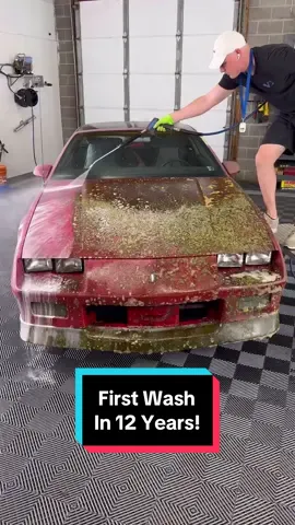 Satisfying First Wash in 12 Years! #wddetailing #detailing #carwash #carcleaning #satisfying #satisfyingvideos #barnfind #fyp #abandoned #cardetailing #asmr #asmrvideo #trending #pressurewashing 