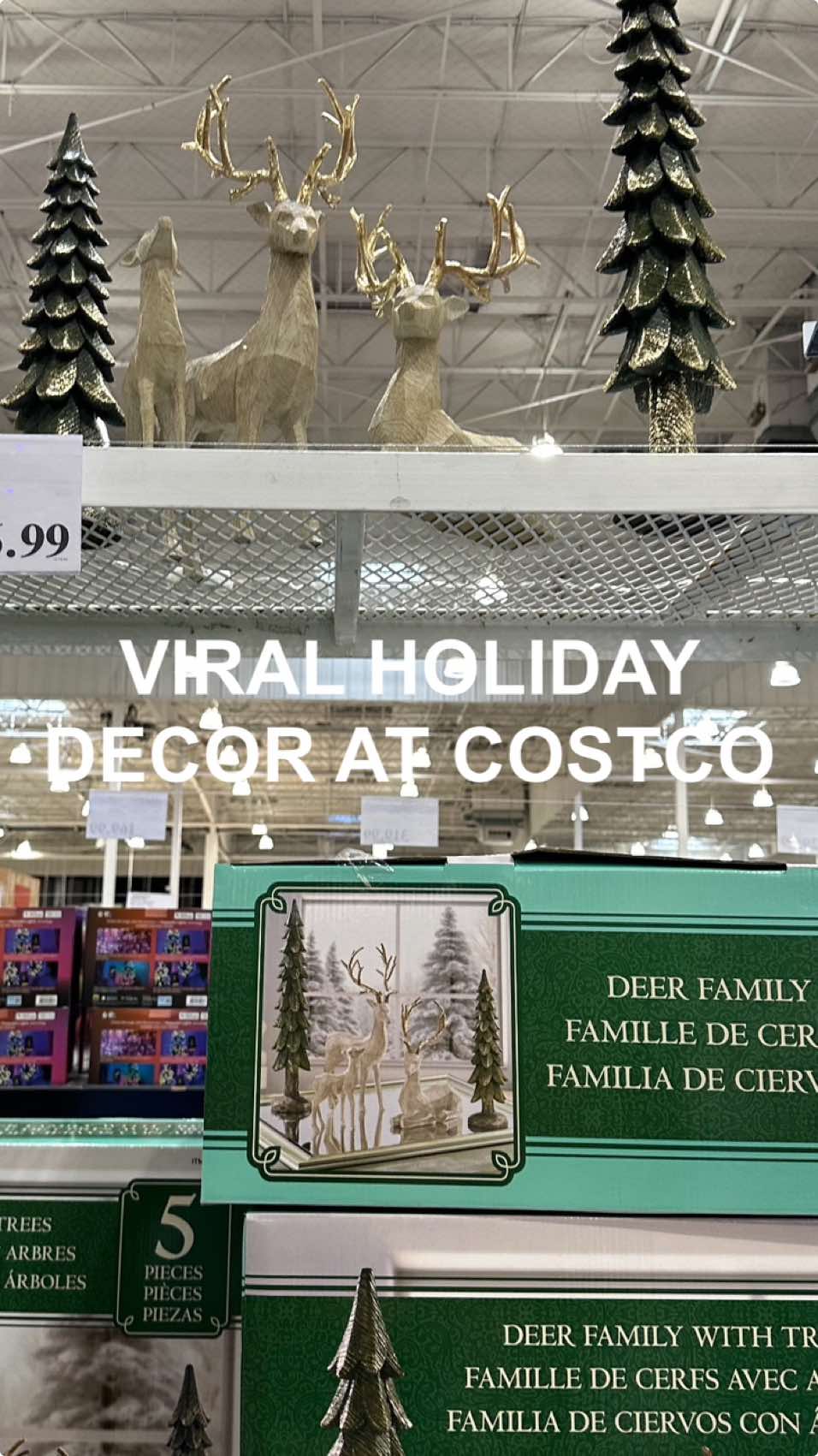 Totally worth it, in my opinion. It’s already sold out online but still available at some Costco locations . . . . . #costcofinds #christmascostcofinds #christmasdecor #christmasdecorshopping #christmastiktok #holidaydecor #raindeer #raindeerdecor #christmasdecorideas #christmas2024 #christmasdecorideas2024 #aesthetic #teamwork 