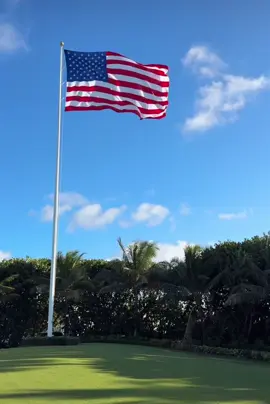 USA 🫡🇺🇸❤️ #fyp #usa🇺🇸 #us #usflag #flag #trump #president #maralogo #donaldtrump2024 #maga #uspolitics #trumptrain #kamala #uspresident #fight #veterans #usveteran #melaniatrump #america #florida 