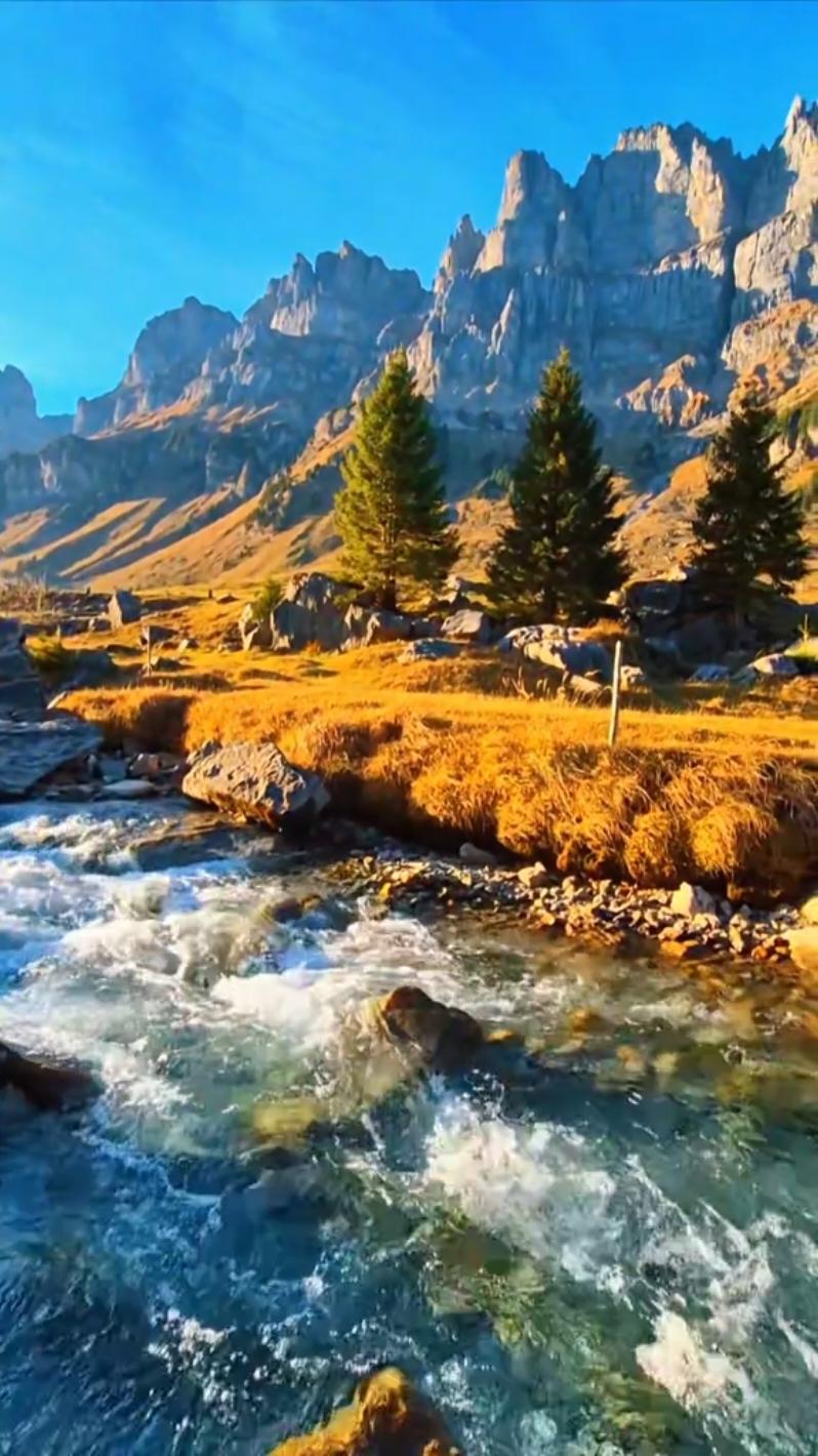 Calm moment💚 #switzerland #river #stream #nature #mountain #swissalps #water #autumn #naturelover #naturevibes #goodvibes #landscape #scenery #wanderlust #wanderer #Outdoors #peaceful #calm #relaxing #relaxingvideos #fyp #swiss #enjoy 