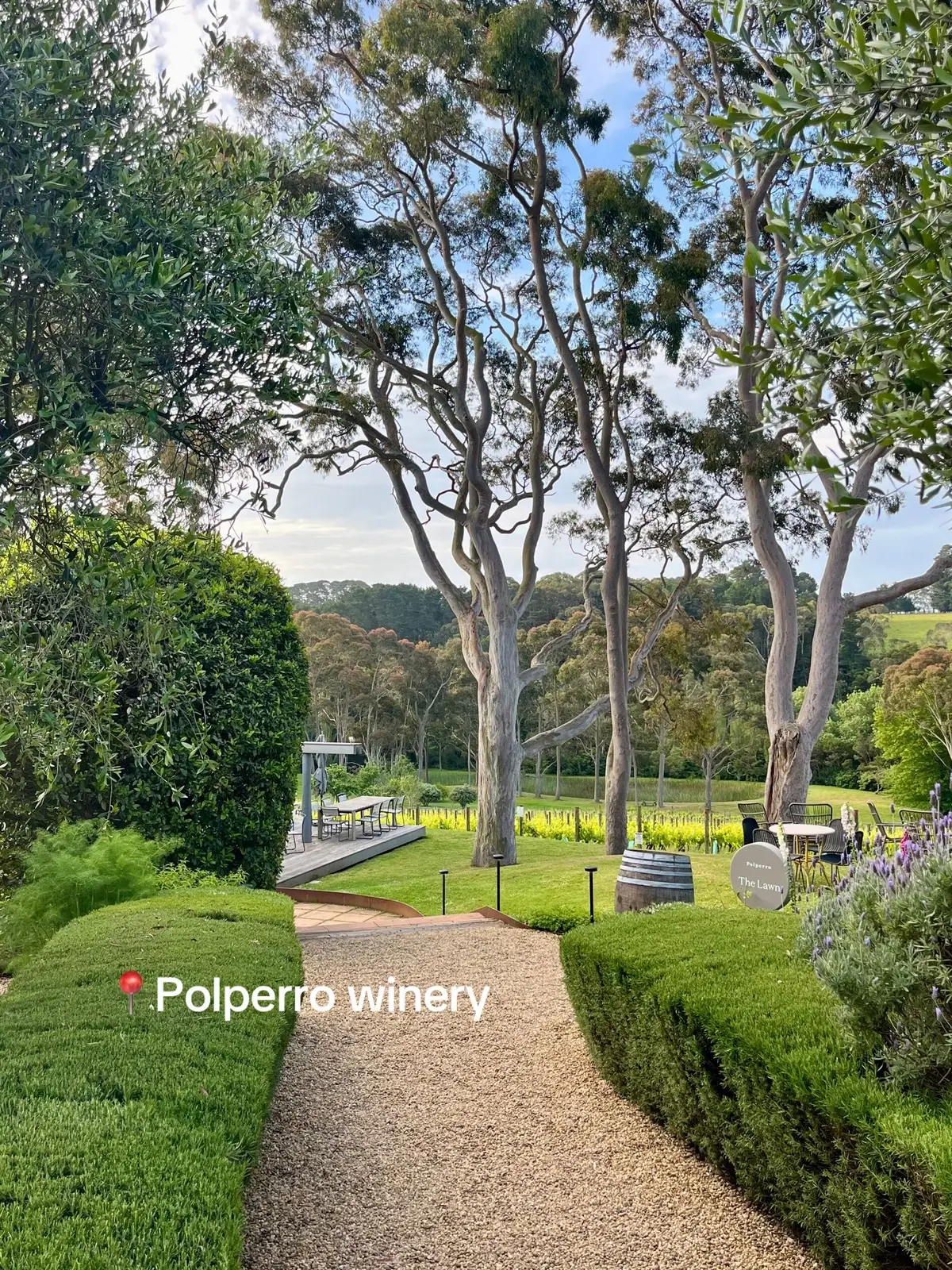 #polperrowinery #redhill #morningtonpeninsula #melbourne #melbourneeats #winery 