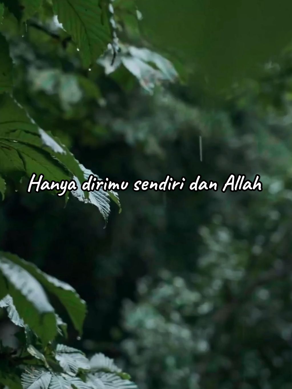 Hanya dirimu sendiri dan Allah  semoga bermanfaat Baarakallaahu Fiikum #quotes #foryou #fyp 