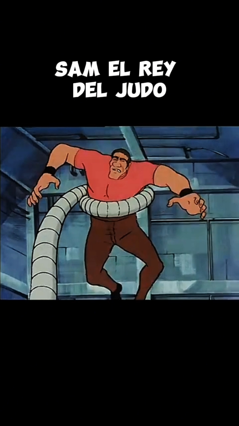 #samelreydeljudo #anime 