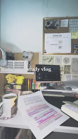 sábadito de estudio 🫶🏻 #chile #fyp #digitaldiary #visualdiary #Vlog #study #studyvlog #studytok #studywithme #estudio 