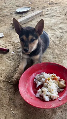 Buntung manyun di kasih sambel 😂😂