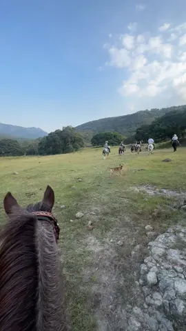 #joansebastian #naturaleza #paisajes #paisajesnaturales #atardecer #caballos #caballosinstagram #rutas #rutas4x4 #montes #cerros #rancho #RDL #lomejor #viral #parati 